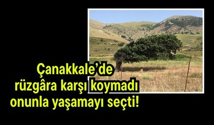 Çanakkale’de rüzgâra karşı koymadı, onunla yaşamayı seçti!