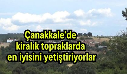 Çanakkale'de kiralık topraklarda en iyisini yetiştiriyorlar (Video)