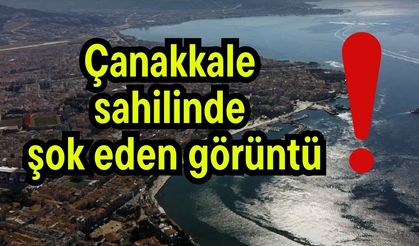 Çanakkale sahilinde şok eden görüntü!