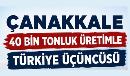 Çanakkale 40 bin tonluk üretimle Türkiye üçüncüsü