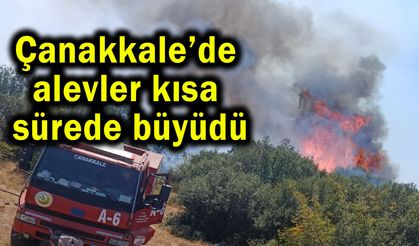 Çanakkale’de alevler kısa sürede büyüdü! (Video)