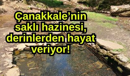 Çanakkale’nin saklı hazinesi, derinlerden hayat veriyor!