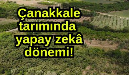 Çanakkale tarımında yapay zekâ dönemi!