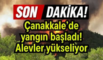 Çanakkale’de yangın başladı! Alevler yükseliyor