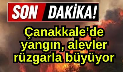 Çanakkale'de yangın! Alevler rüzgarla büyüyor...