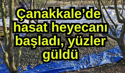 Çanakkale’de hasat heyecanı başladı, yüzler güldü