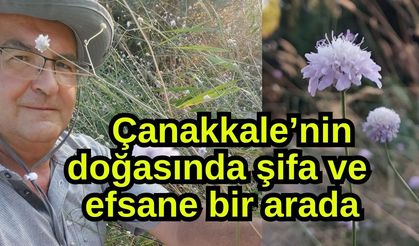 Çanakkale’nin doğasında şifa ve efsane bir arada