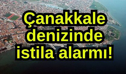 Çanakkale denizinde istila alarmı! (Video)