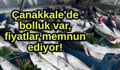 Çanakkale'de bolluk var, fiyatlar memnun ediyor!