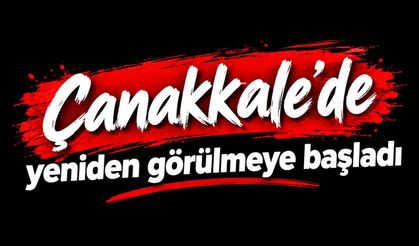 Çanakkale'de yeniden görülmeye başladı