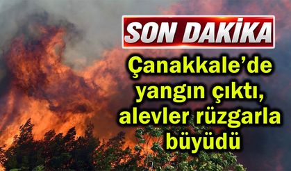 Çanakkale’de yangın çıktı, alevler rüzgarla büyüdü