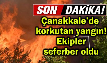 Çanakkale’de korkutan yangın! Ekipler seferber oldu (Video)