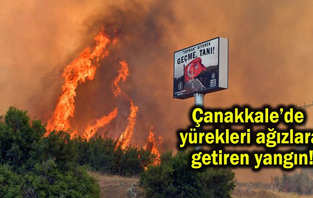 Çanakkale’de yürekleri ağızlara getiren yangın