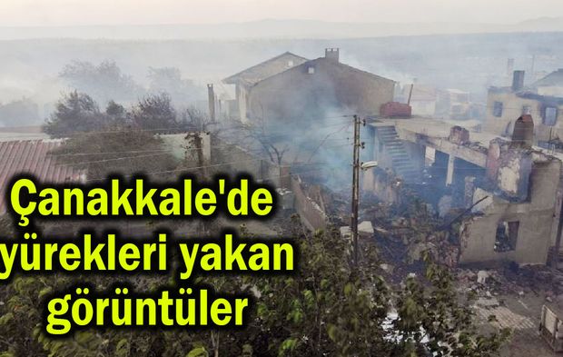 Çanakkale'de yürek yakan görüntüler