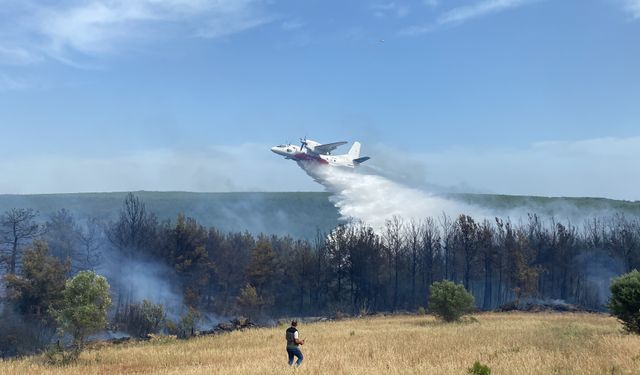 Eceabat’taki orman yangını kontrol altına alındı