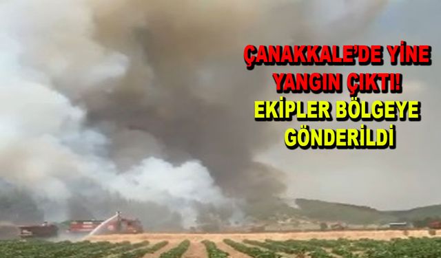 Çanakkale’de yine yangın çıktı! Ekipler bölgeye gönderildi (VİDEO)