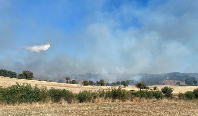 Çanakkale’de orman yangını: Havadan ve karadan müdahale ediliyor…