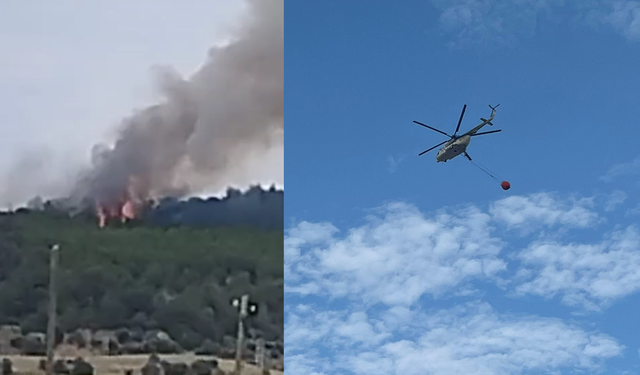 Çanakkale’de  orman yangını…