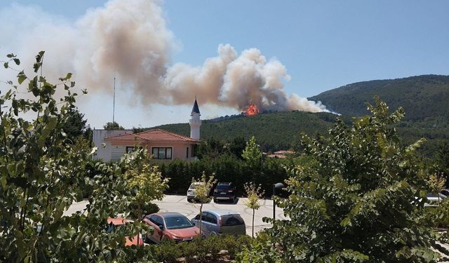Aydos Ormanı'nda çıkan yangın 3 saatte söndürüldü