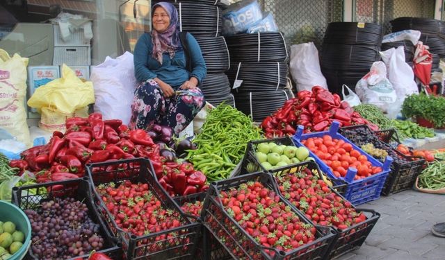 Kaz Dağları’nda yetişen organik ürünler ilçe pazarında satılıyor (VİDEO)