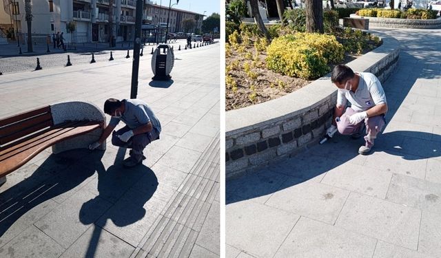 Çanakkale'de haşereyle mücadele çalışmaları sürüyor