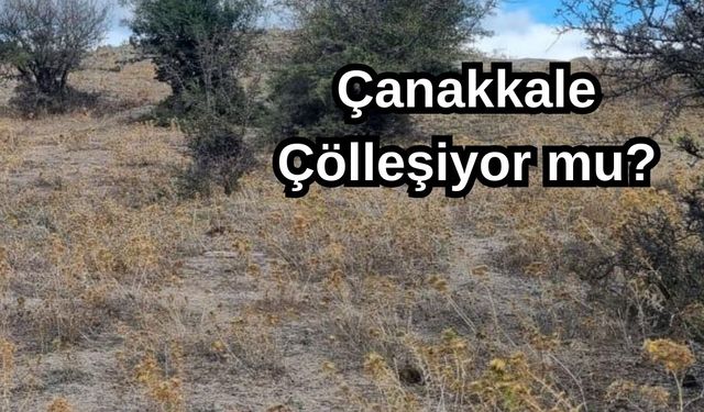 Çanakkale çölleşiyor mu?