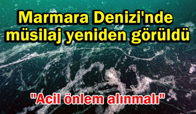 Marmara Denizi'nde müsilaj yeniden görüldü