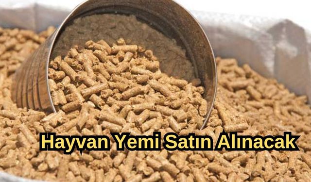 Hayvan yemi satın alınacak