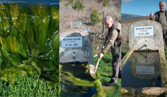 Çanakkale'de yaban hayatı için sulak ve çeşmeler temizleniyor