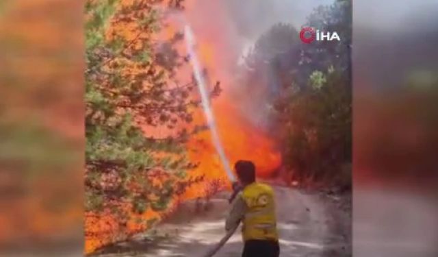 Ormanlık alanda yangın çıktı