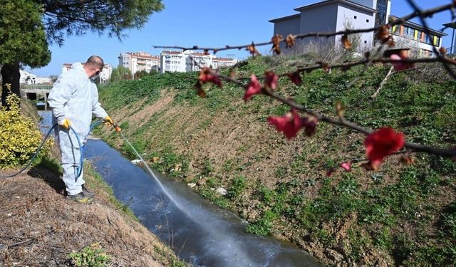 Biga’da haşereyle mücadele başladı