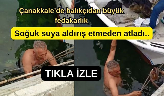 Çanakkale'de balıkçıdan büyük fedakarlık (VİDEO)