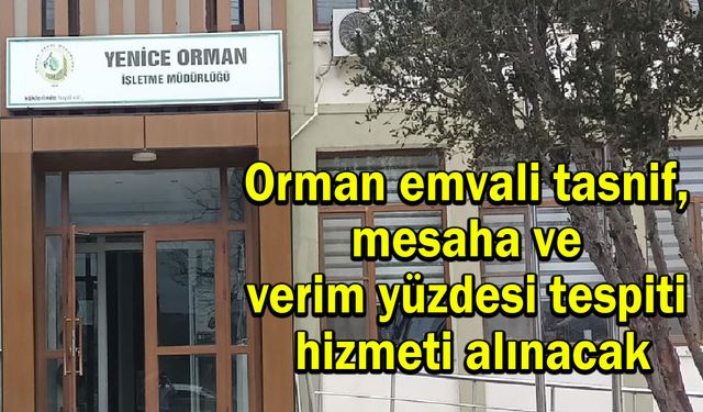 Orman emvali tasnif, mesaha ve verim yüzdesi tespiti hizmeti alınacak