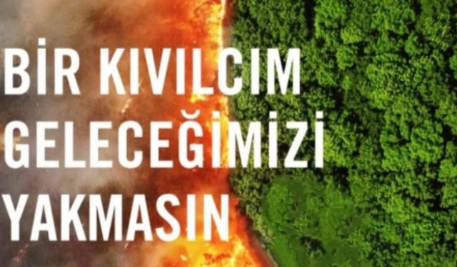 Çanakkale’de orman yangınlarıyla WhatsApp ile daha etkin mücadele