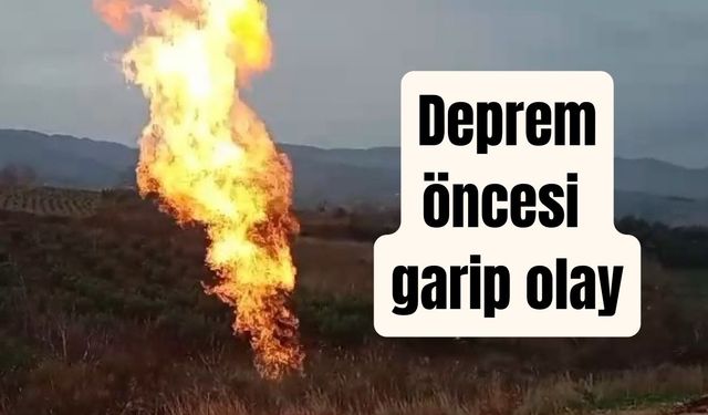 Deprem öncesi garip olay (Video)