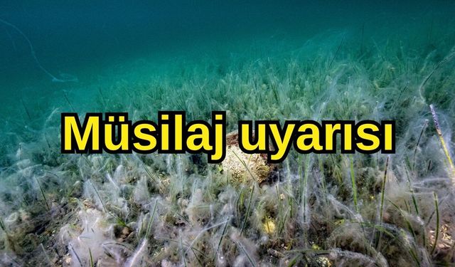 Müsilaj uyarısı