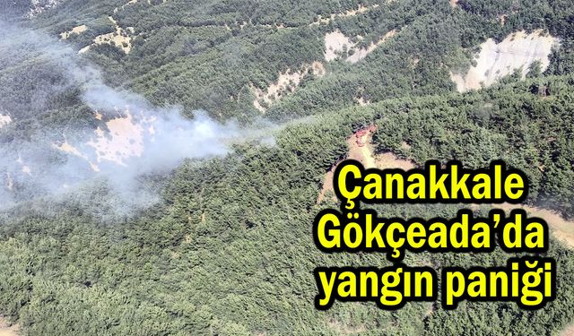 Çanakkale Gökçeada’da yangın paniği