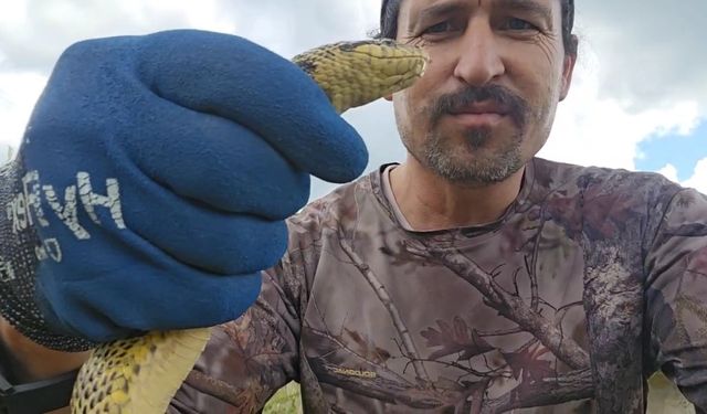 Çanakkale'de eve girmeye çalışan yılanı son anda yakaladı