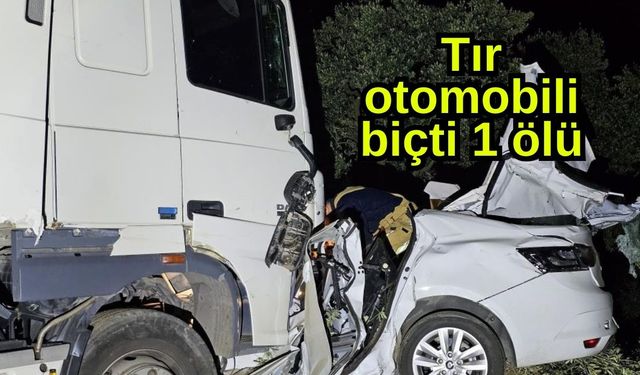 Tır otomobili biçti 1 ölü