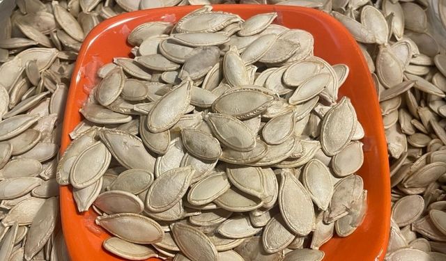 Kabak çekirdeğine "Salmonella", zencefile "Bacillus cereus" nasıl bulaşıyor