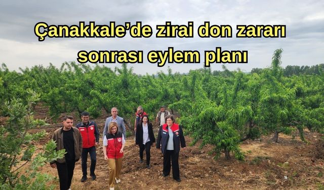 Çanakkale’de zirai don zararı sonrası eylem planı