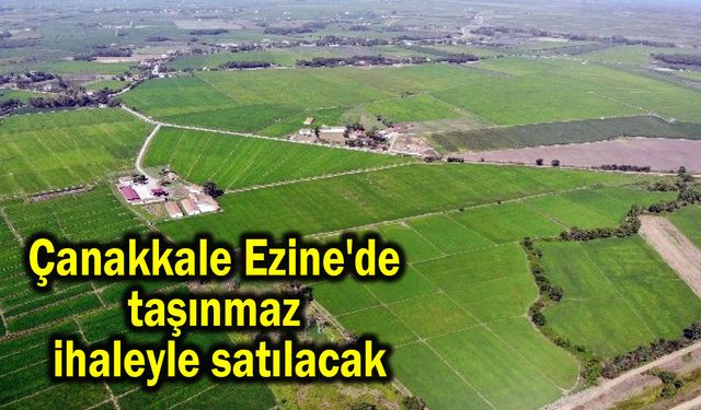Çanakkale Ezine'de taşınmaz ihaleyle satılacak