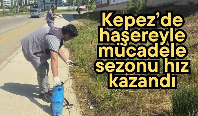 Kepez’de haşereyle mücadele sezonu hız kazandı