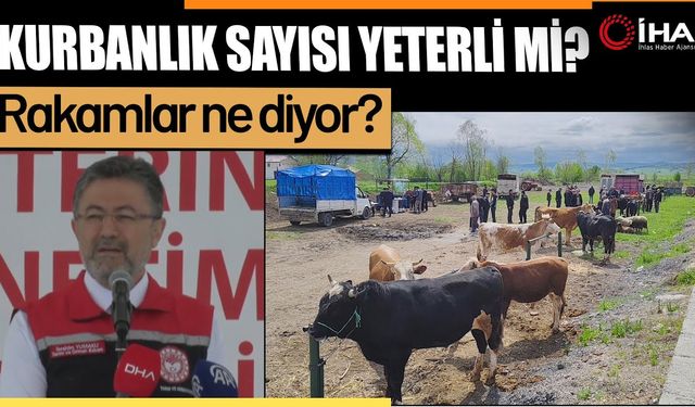 Kurbanlık hayvan sayısındaki artış yeterli mi? (Video)