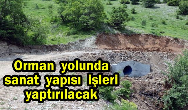 Orman yolunda sanat yapısı işleri yaptırılacak