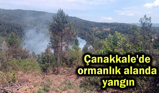 Çanakkale'de ormanlık alanda yangın