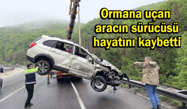 Ormana uçan aracın sürücüsü hayatını kaybetti (Video)