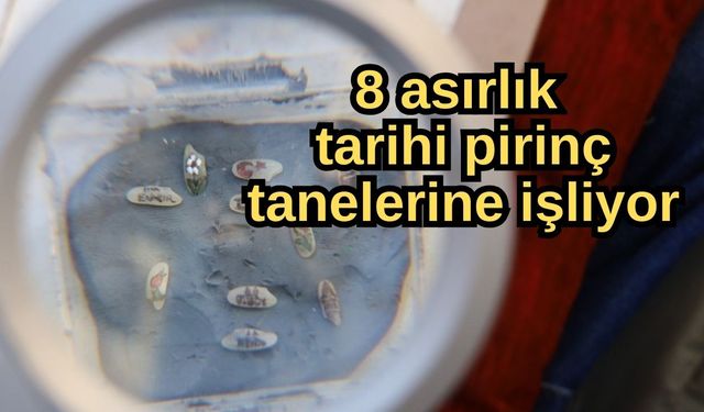 8 asırlık tarihi pirinç tanelerine işliyor