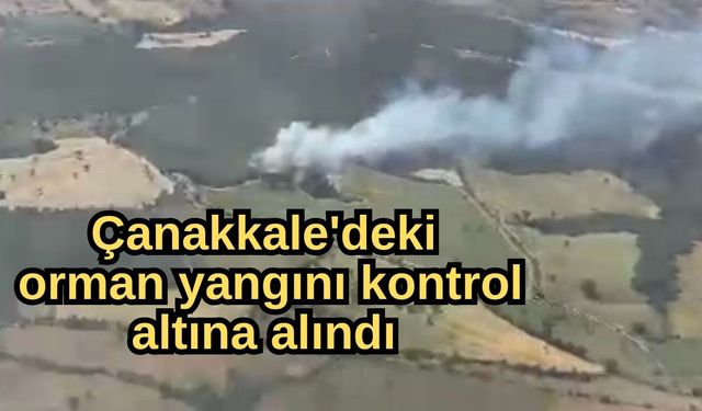 Çanakkale'deki orman yangını kontrol altına alındı