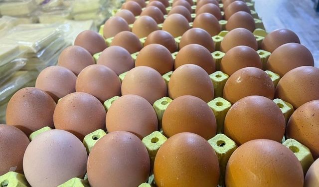 Mart ayında yıllık tavuk yumurtası üretimi yüzde 8,8 azaldı